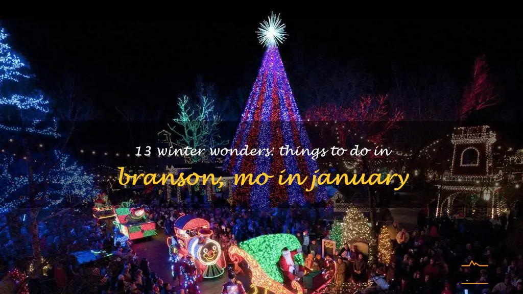 things to do in branson mo in january