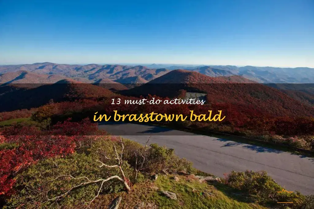 things to do in brasstown bald