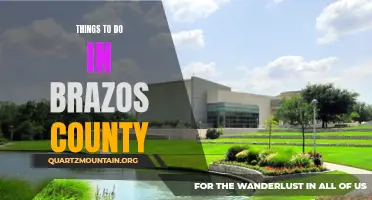 Brazos County: Exploring the Hidden Gems