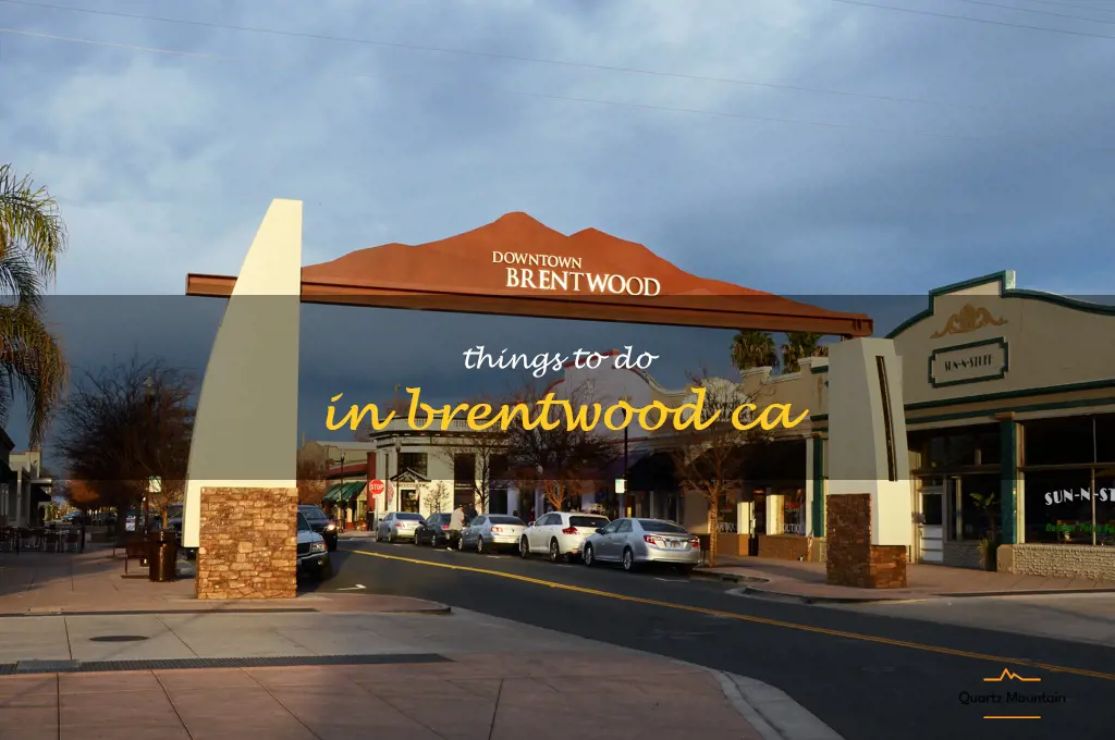 things to do in brentwood ca