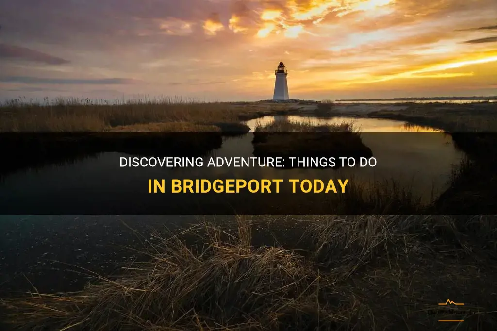 things to do in bridgeport today