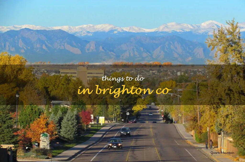 things to do in brighton co