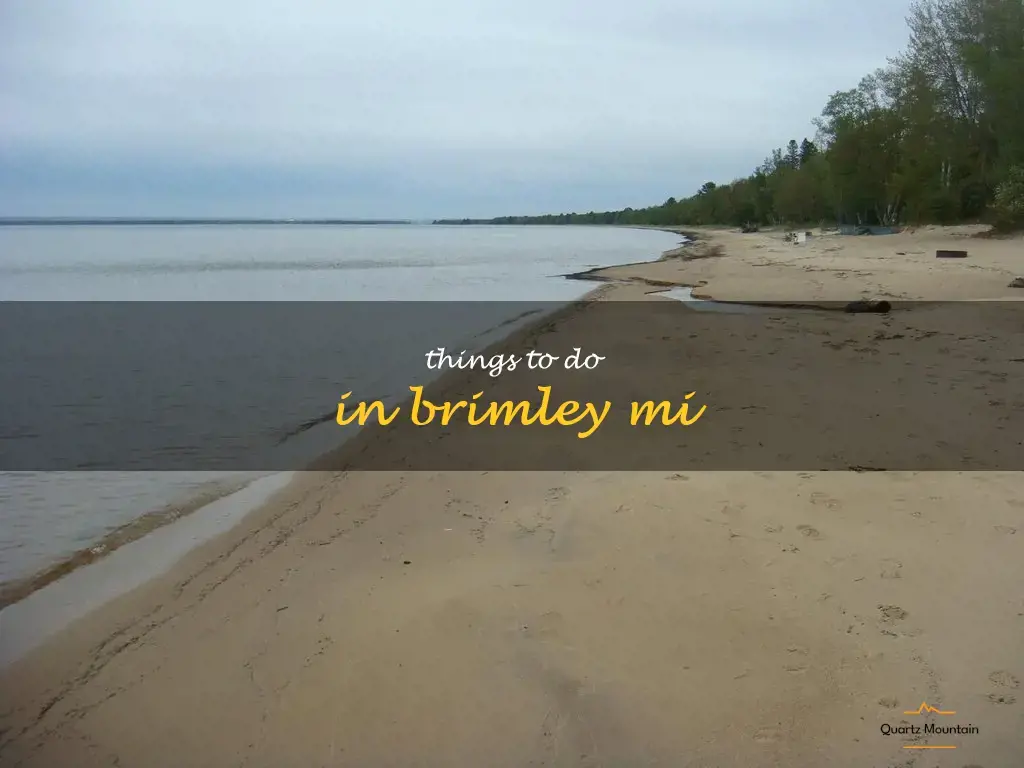 things to do in brimley mi
