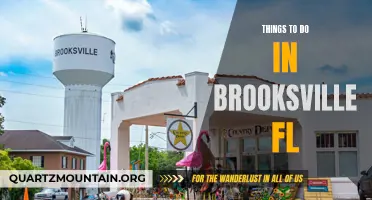 13 Fun Things to do in Brooksville, FL!
