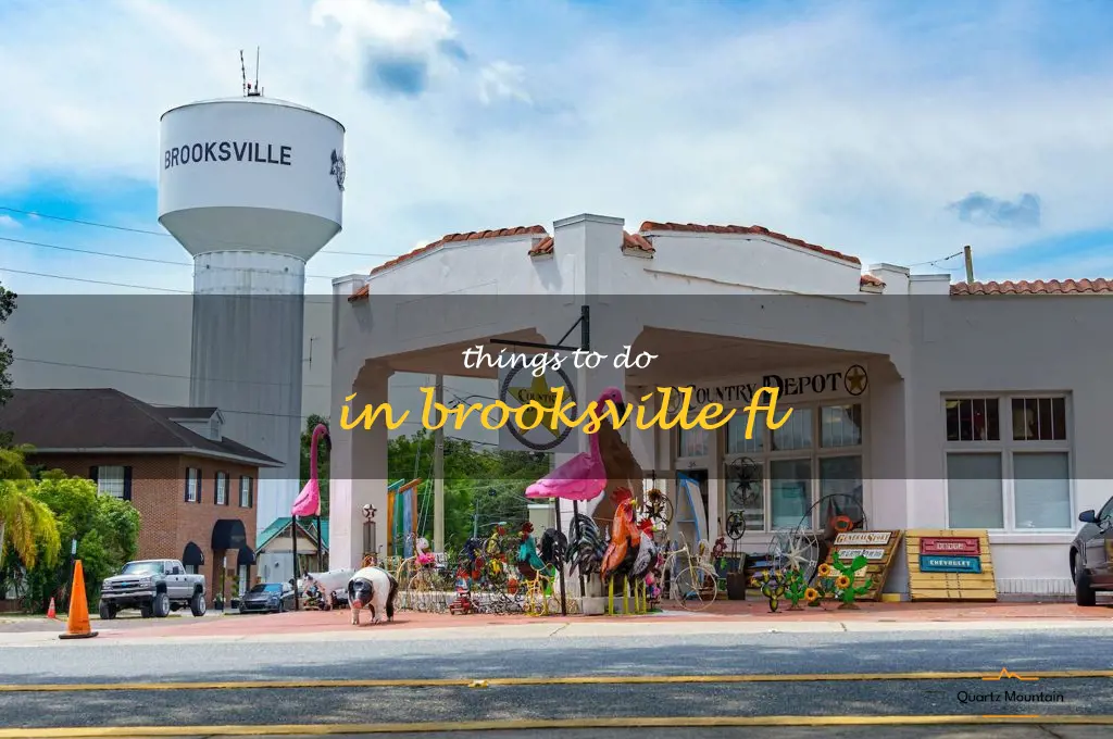 things to do in brooksville fl