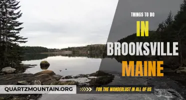 Exploring Brooksville: Maine's Hidden Gems