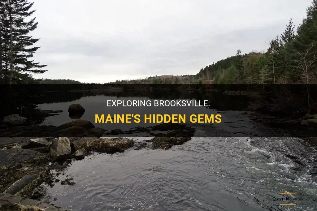 things to do in brooksville maine