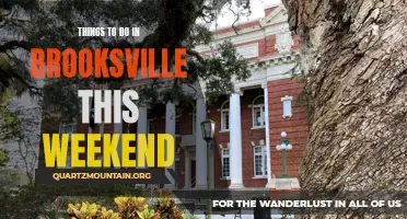 7 Fun Things to Do in Brooksville This Weekend