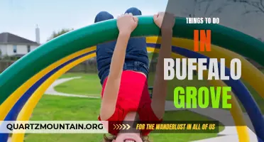 12 Exciting Activities to Experience in Buffalo Grove