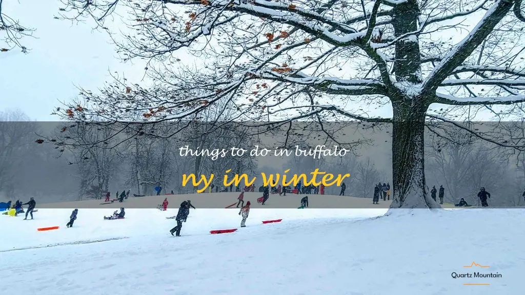 things to do in buffalo ny in winter