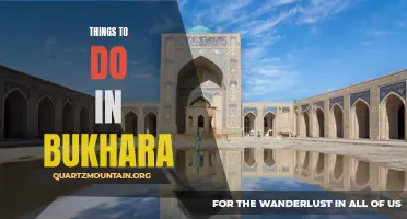 12 Must-Do Activities in Bukhara for an Unforgettable Experience