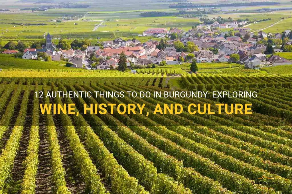 things to do in burgundy