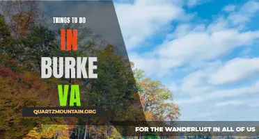 10 Amazing Activities to Experience in Burke VA