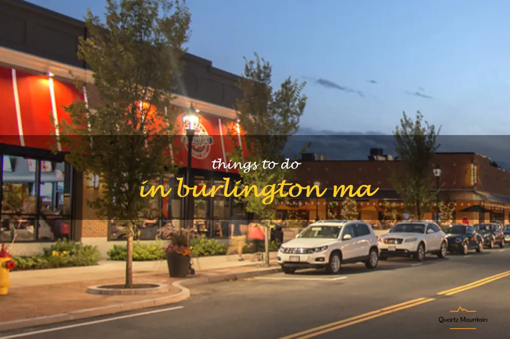 things to do in burlington ma