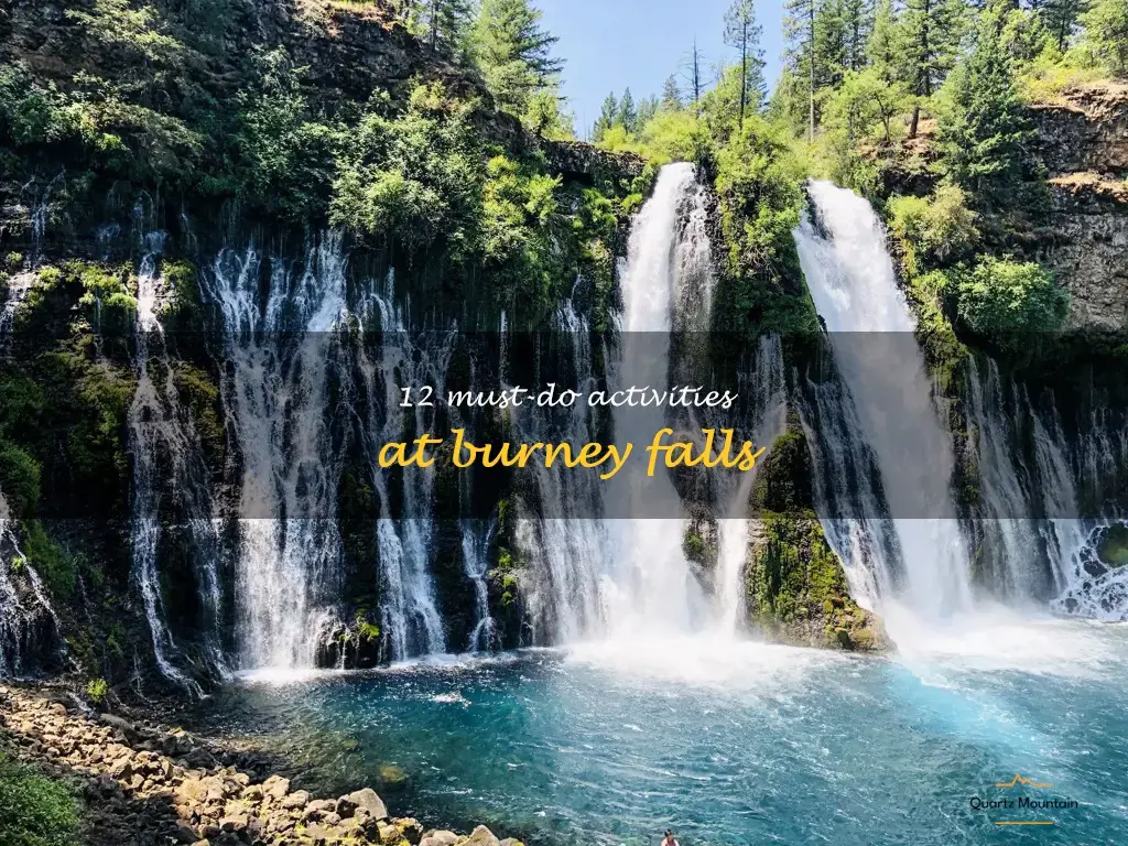 things to do in burney falls