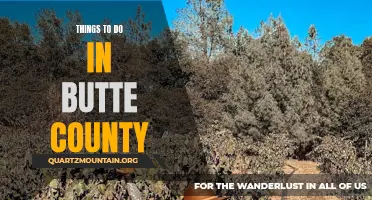 Exploring the Hidden Gems: Top Things to Do in Butte County