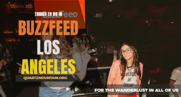 12 Fun Activities to Explore in BuzzFeed Los Angeles