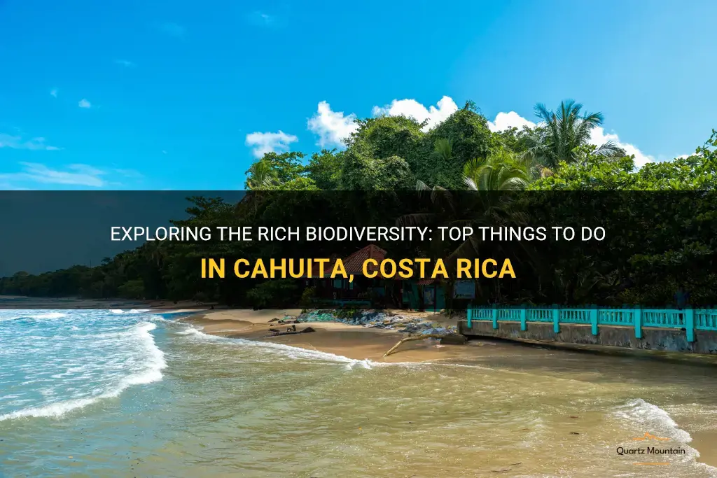 things to do in cahuita costa rica