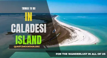 Exploring the Natural Wonders: Top Activities to Do in Caladesi Island