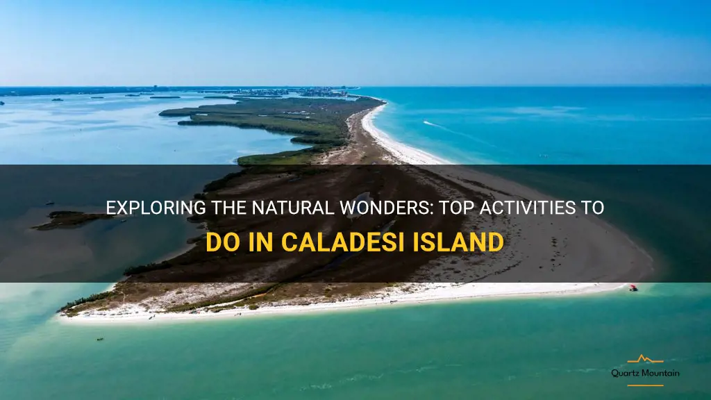 things to do in caladesi island