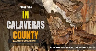 12 Fun and Exciting Things to Do in Calaveras County