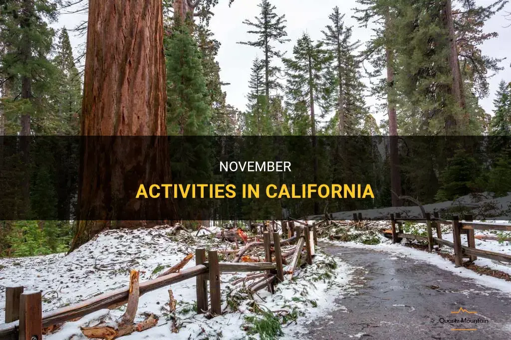 things to do in california in november