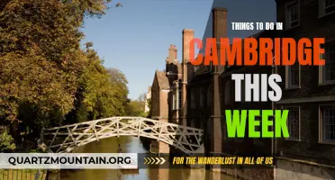 13 Fun Activities to Try in Cambridge This Week