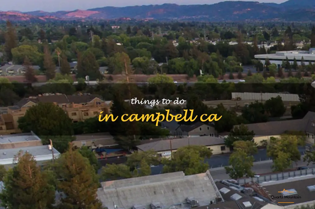 things to do in campbell ca