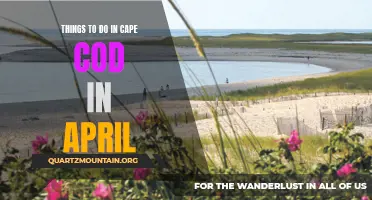 12 Exciting Activities to Experience in Cape Cod this April