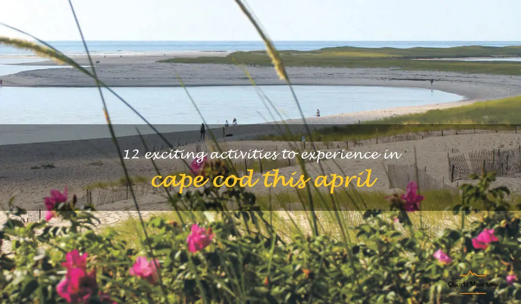 things to do in cape cod in april