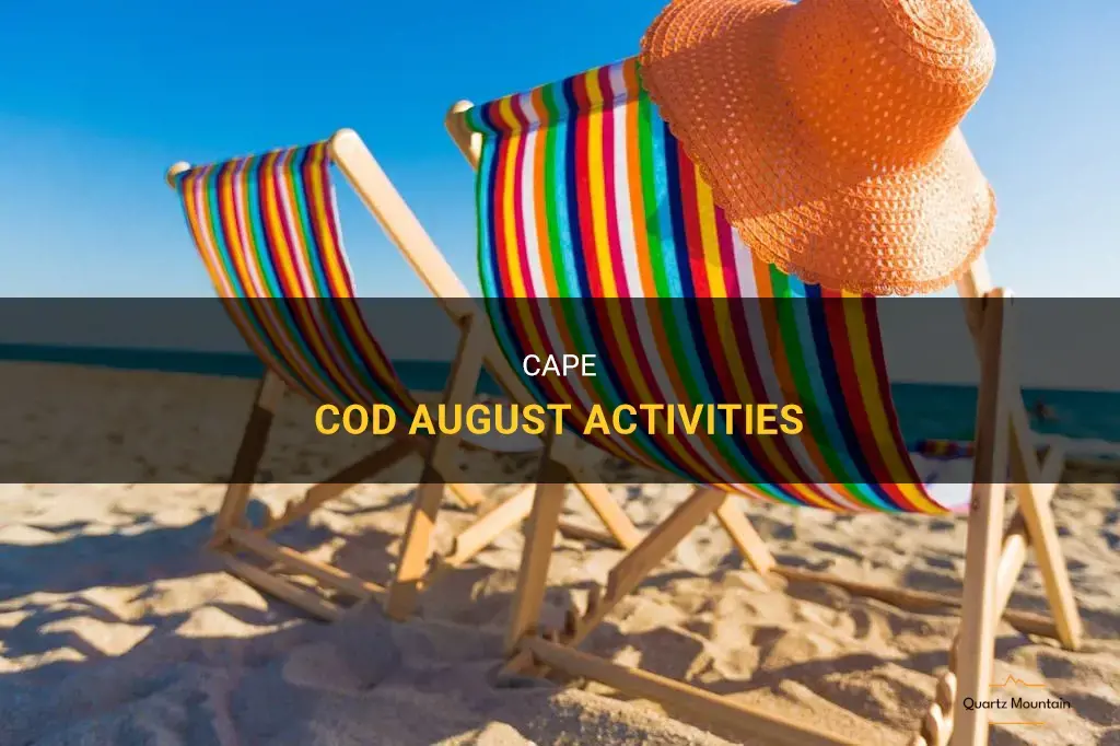 things to do in cape cod in august