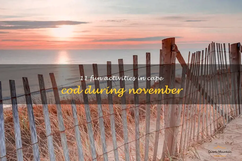 things to do in cape cod in november