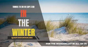 13 Unique Things to Do in Cape Cod During the Winter Months