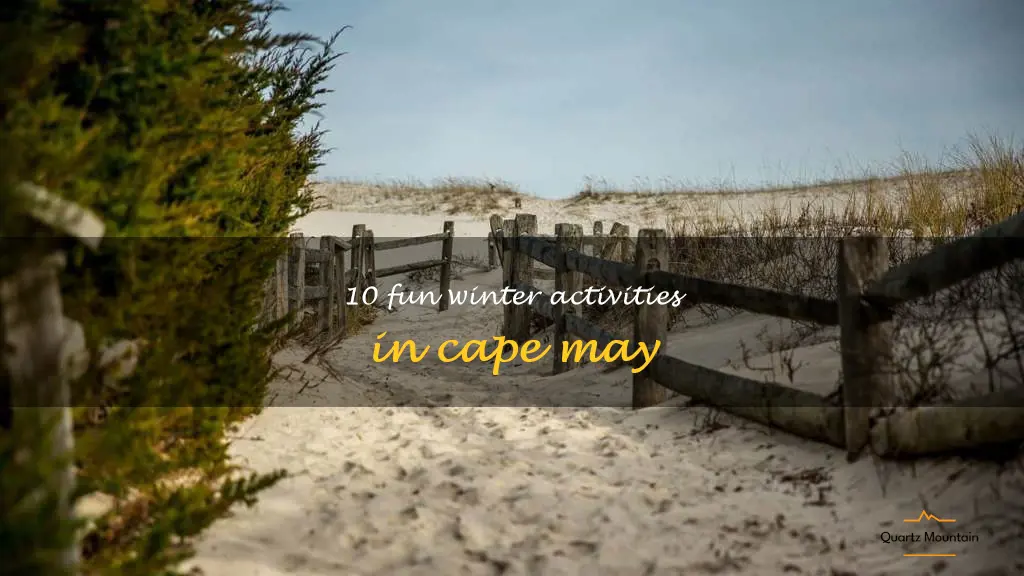 things to do in cape may in winter