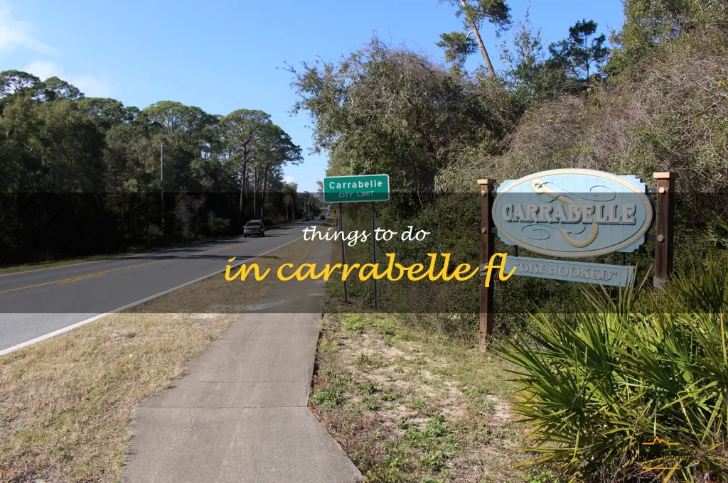 things to do in carrabelle fl