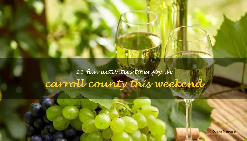 things to do in carroll county this weekend