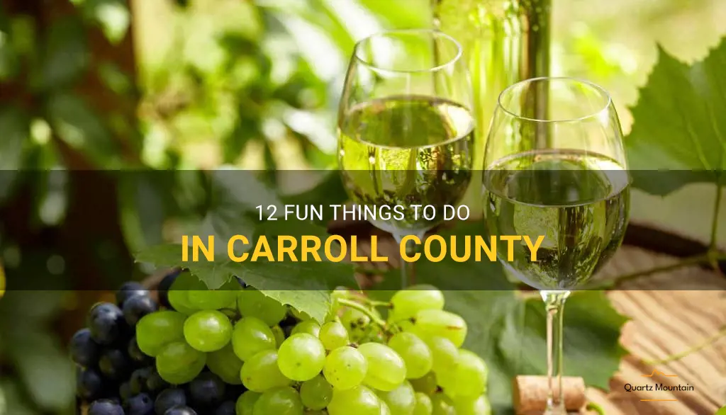 things to do in carroll county