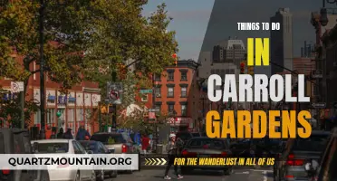 15 Fun-Filled Activities to Do in Carroll Gardens!