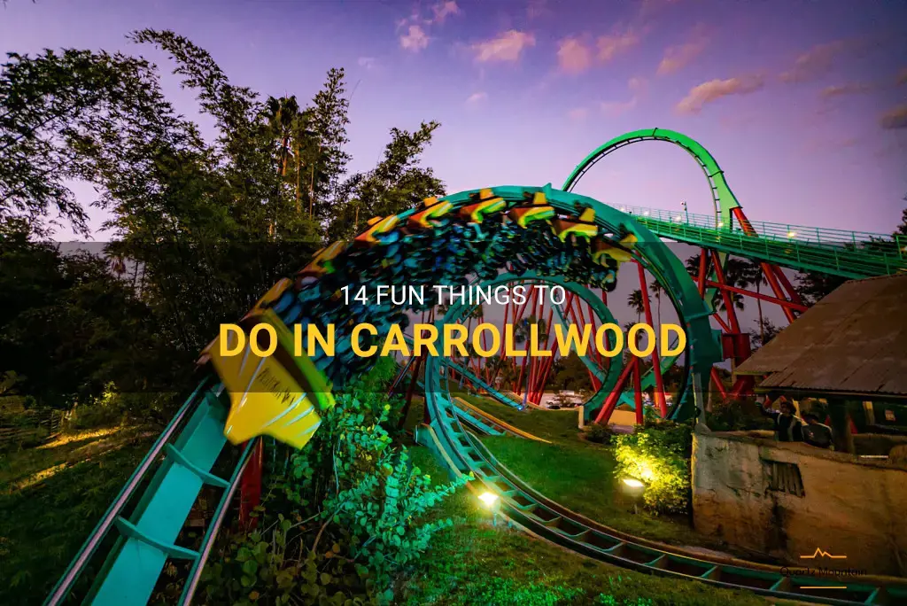 things to do in carrollwood