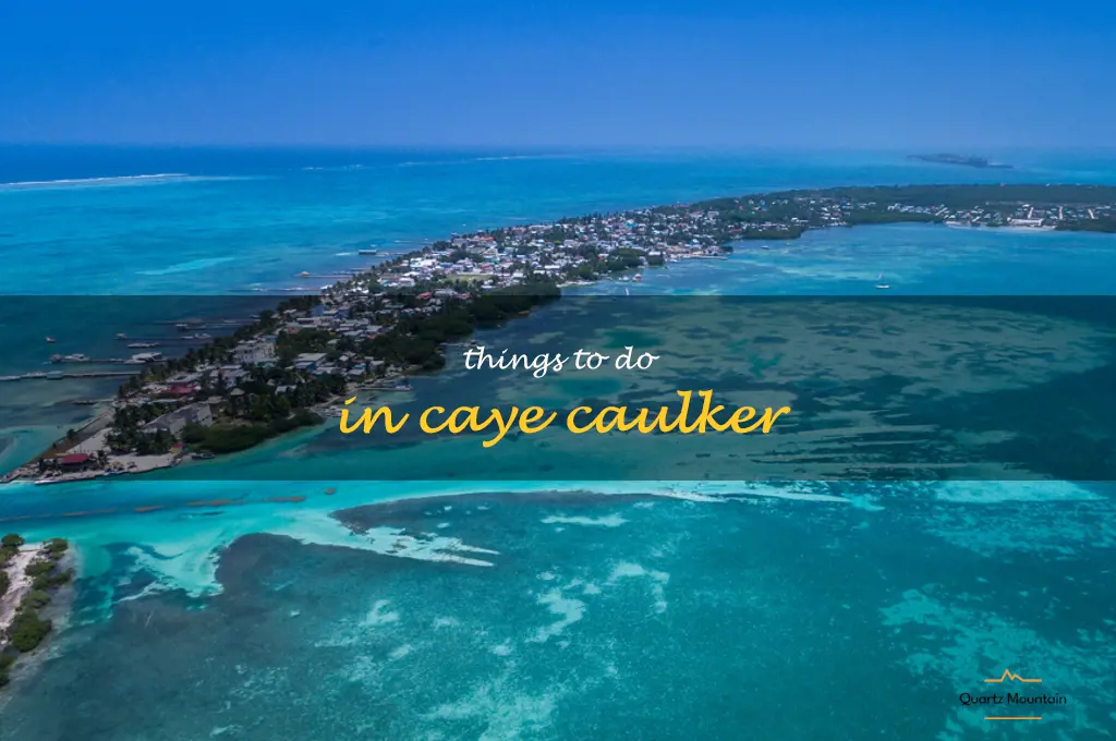 things to do in caye caulker