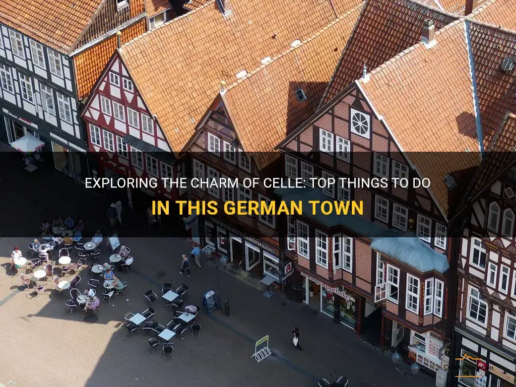 things to do in celle germany