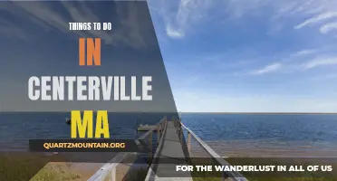 12 Must-Do Activities in Centerville, MA