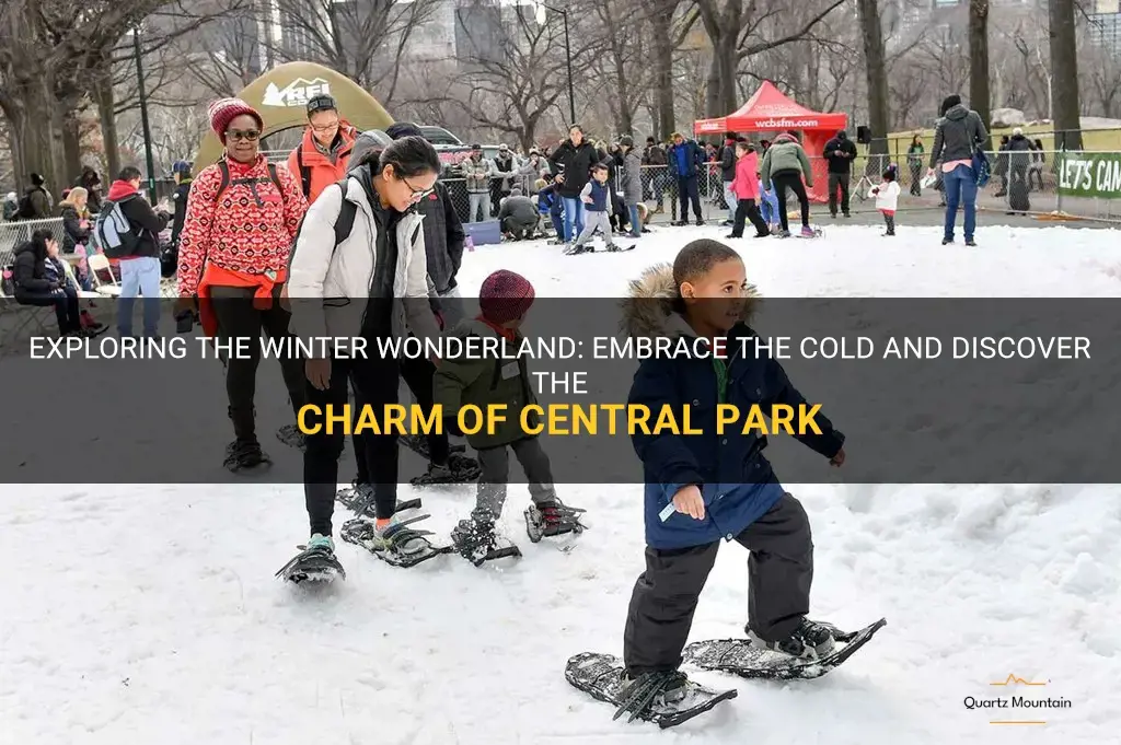 things to do in central park in winter