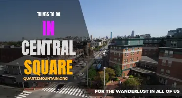 12 Exciting Things to Do in Central Square and Beyond