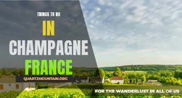 12 Essential Things to Do in Champagne, France
