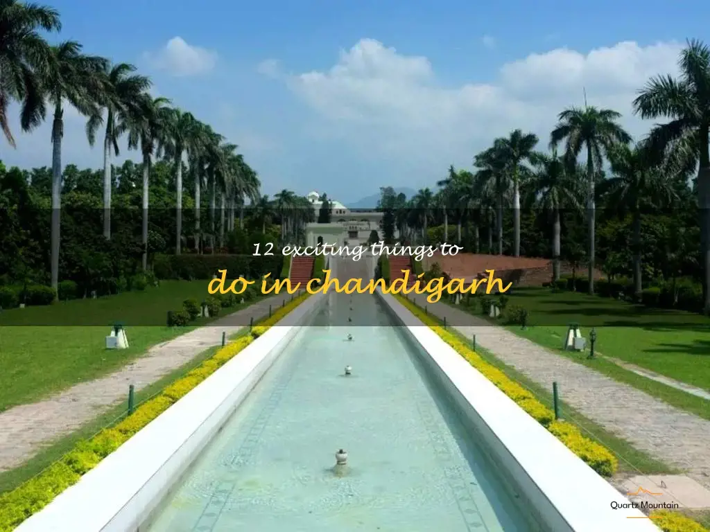things to do in chandigarh
