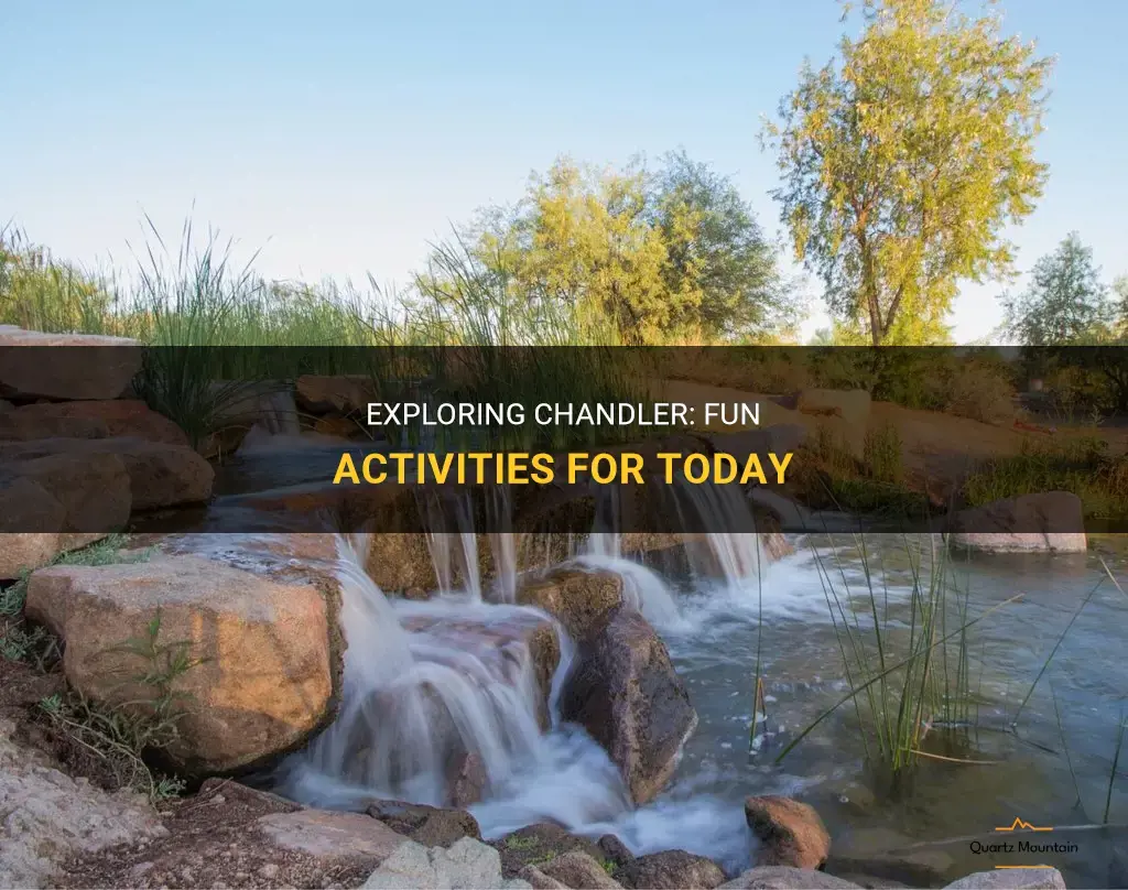 things to do in chandler az today