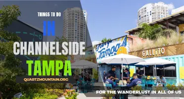 10 Fun Activities to Try in Channelside Tampa