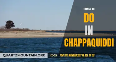 12 Fun Things to Do on Chappaquiddick Island