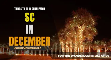 The Ultimate Guide to Exploring Charleston, SC in December